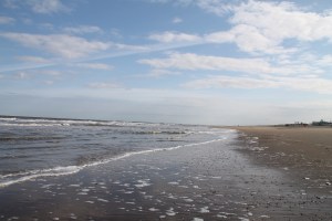 18028446743_d22d298ea3_o